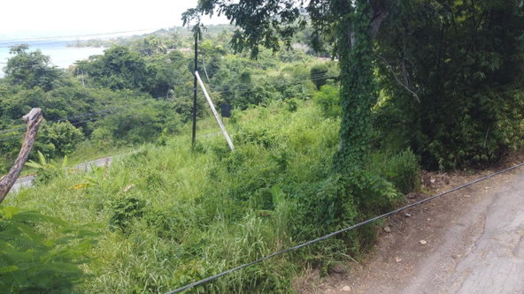 Ninth image of 16- Tamarind Hill in Round Hill, Hanover, Jamaica - property is For Sale