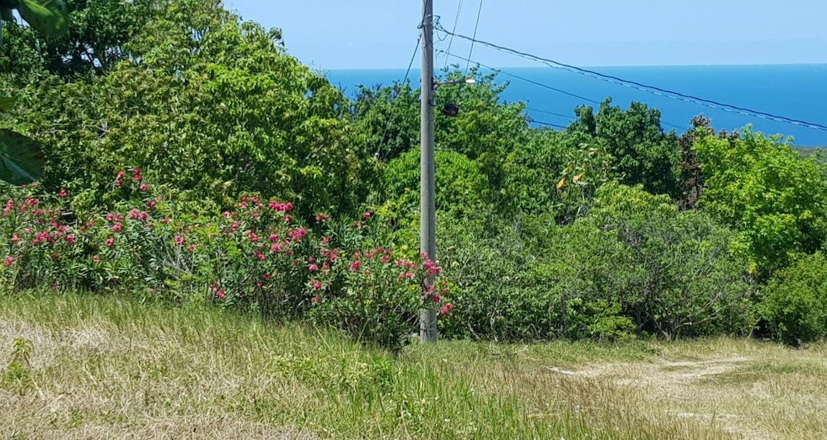 Eleventh image of Discovery Bay in Discovery Bay, St. Ann, Jamaica - property is For Sale