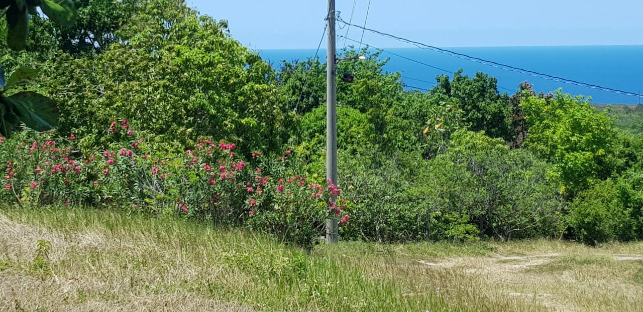 Eleventh image of Discovery Bay in Discovery Bay, St. Ann, Jamaica - property is For Sale