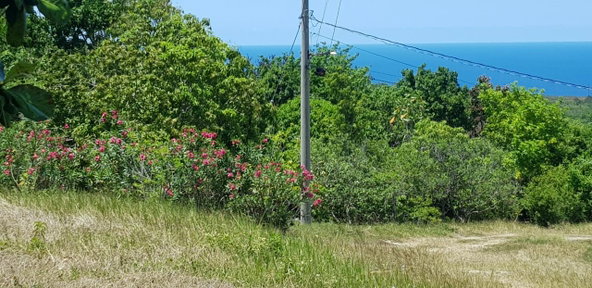 Fourteenth image of Discovery Bay in Discovery Bay, St. Ann, Jamaica - property is For Sale