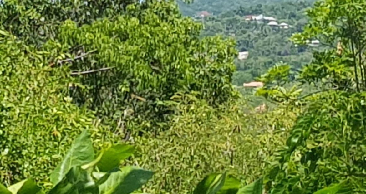 Eighth image of Discovery Bay in Discovery Bay, St. Ann, Jamaica - property is For Sale