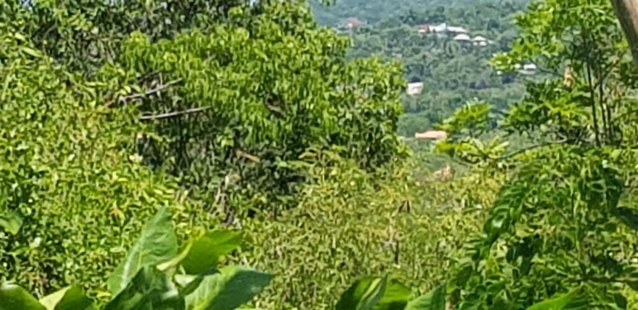 Eighth image of Discovery Bay in Discovery Bay, St. Ann, Jamaica - property is For Sale