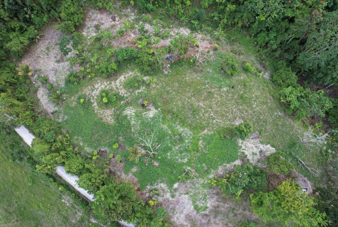 Second image of New Ramble ,free Hill in Free Hill, St. Mary, Jamaica - property is For Sale