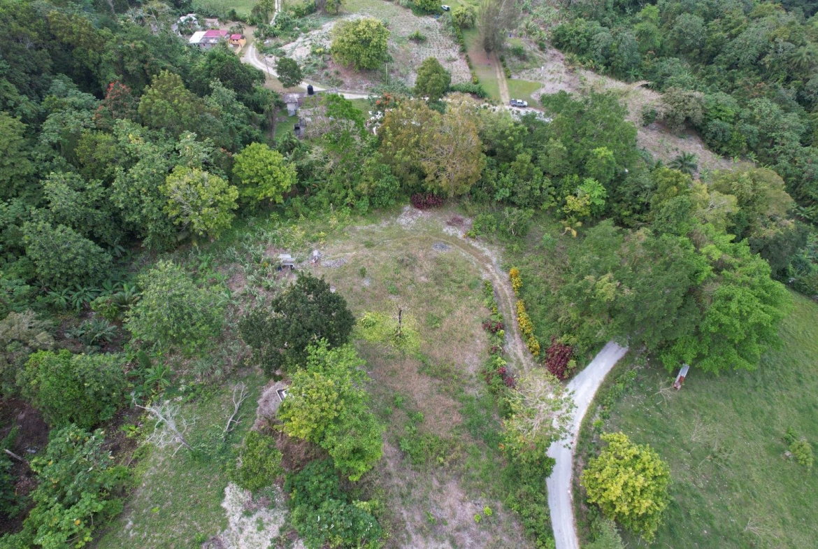 First image of New Ramble ,free Hill in Free Hill, St. Mary, Jamaica - property is For Sale