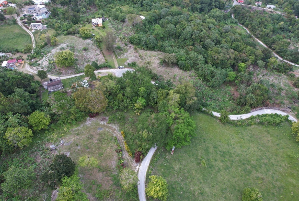 Third image of New Ramble ,free Hill in Free Hill, St. Mary, Jamaica - property is For Sale