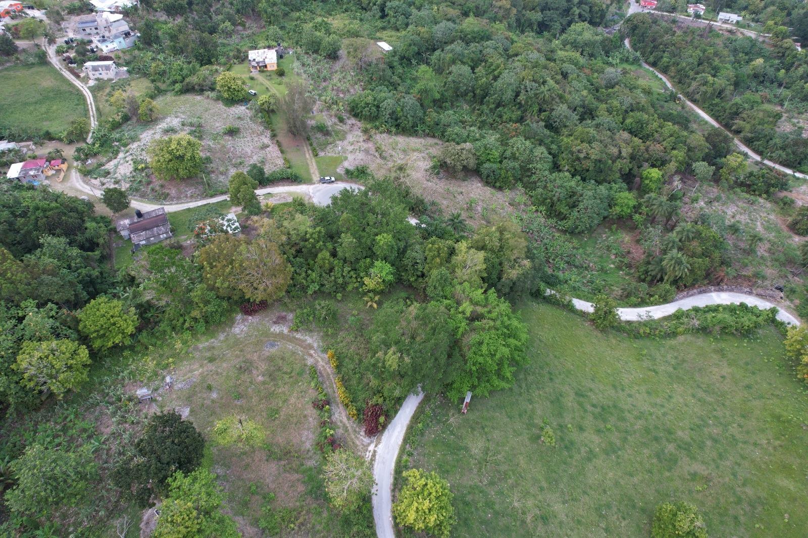 Stunning-1-Acre-Residential-Land-for-Sale-in-St.-Mary-Jamaica Third image of New Ramble ,free Hill in Free Hill, St. Mary, Jamaica - property is For Sale