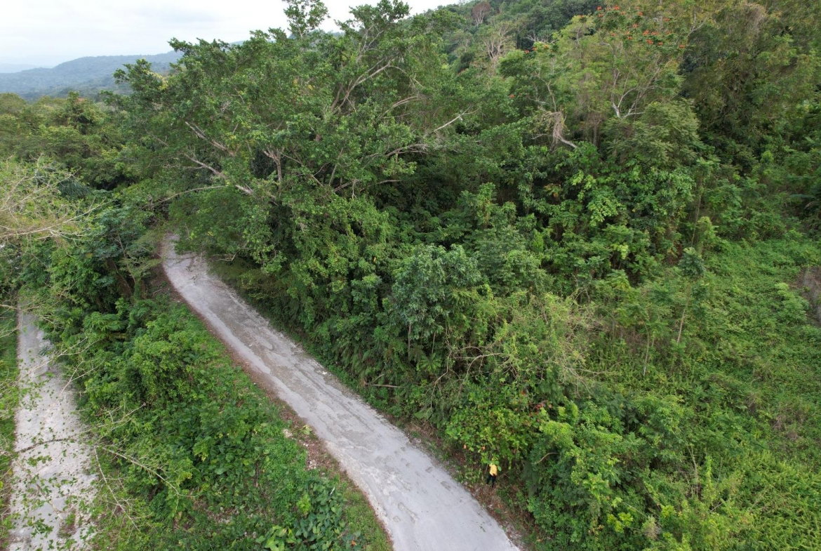 Fourth image of New Ramble ,free Hill in Free Hill, St. Mary, Jamaica - property is For Sale