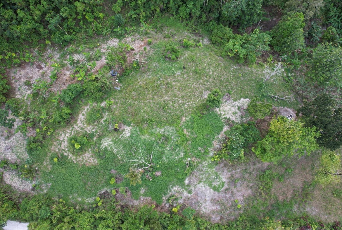 Sixth image of New Ramble ,free Hill in Free Hill, St. Mary, Jamaica - property is For Sale