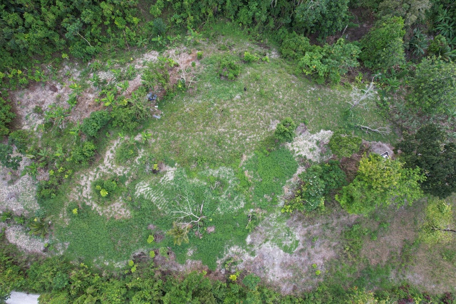 Stunning-1-Acre-Residential-Land-for-Sale-in-St.-Mary-Jamaica Sixth image of New Ramble ,free Hill in Free Hill, St. Mary, Jamaica - property is For Sale
