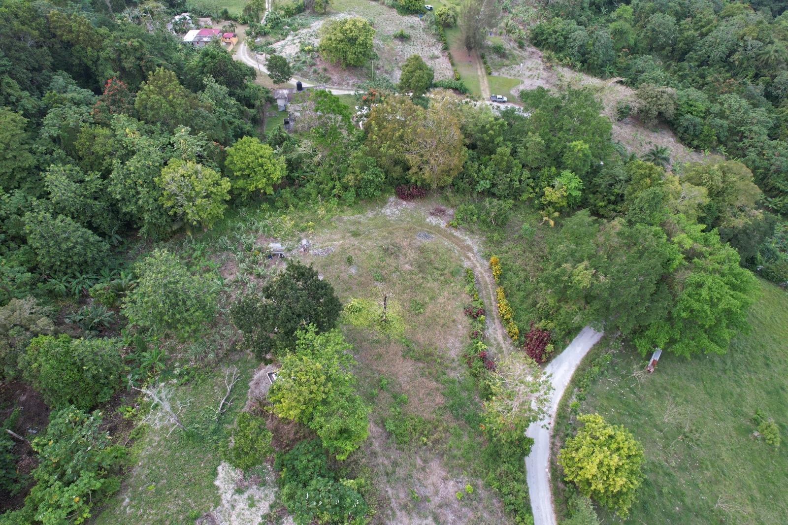 Stunning-1-Acre-Residential-Land-for-Sale-in-St.-Mary-Jamaica First image of New Ramble ,free Hill in Free Hill, St. Mary, Jamaica - property is For Sale