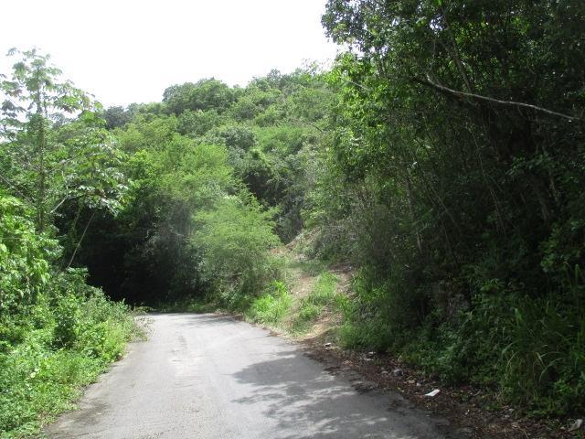 Second image of Bogue Hill in Bogue, St. James, Jamaica - property is For Sale