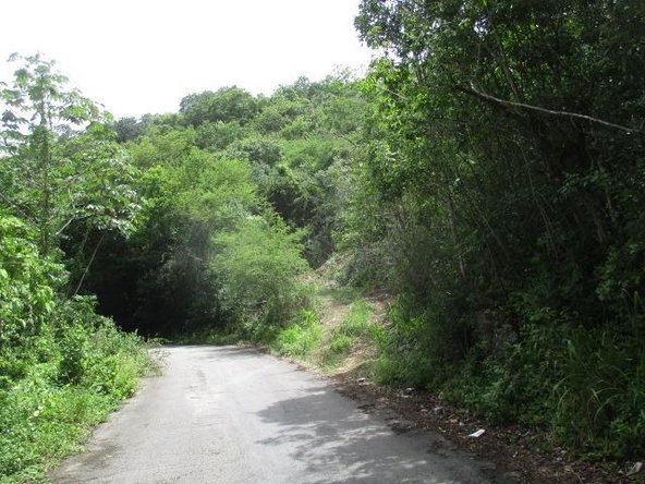 Second image of Bogue Hill in Bogue, St. James, Jamaica - property is For Sale