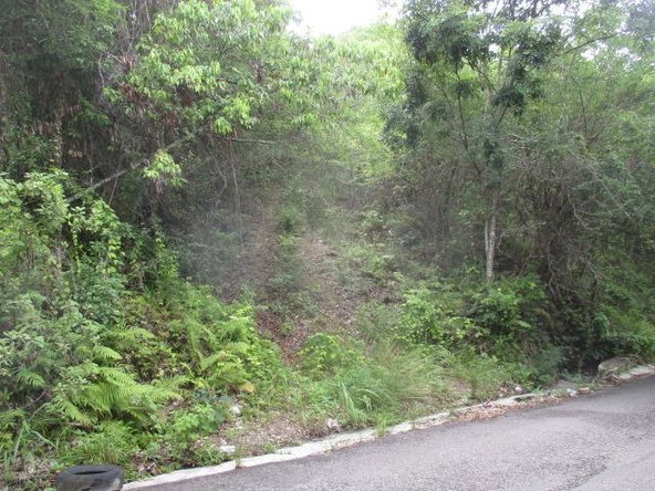 Third image of Bogue Hill in Bogue, St. James, Jamaica - property is For Sale