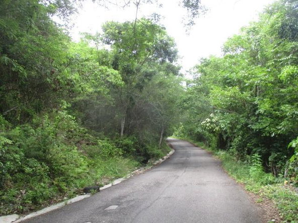 Fifth image of Bogue Hill in Bogue, St. James, Jamaica - property is For Sale
