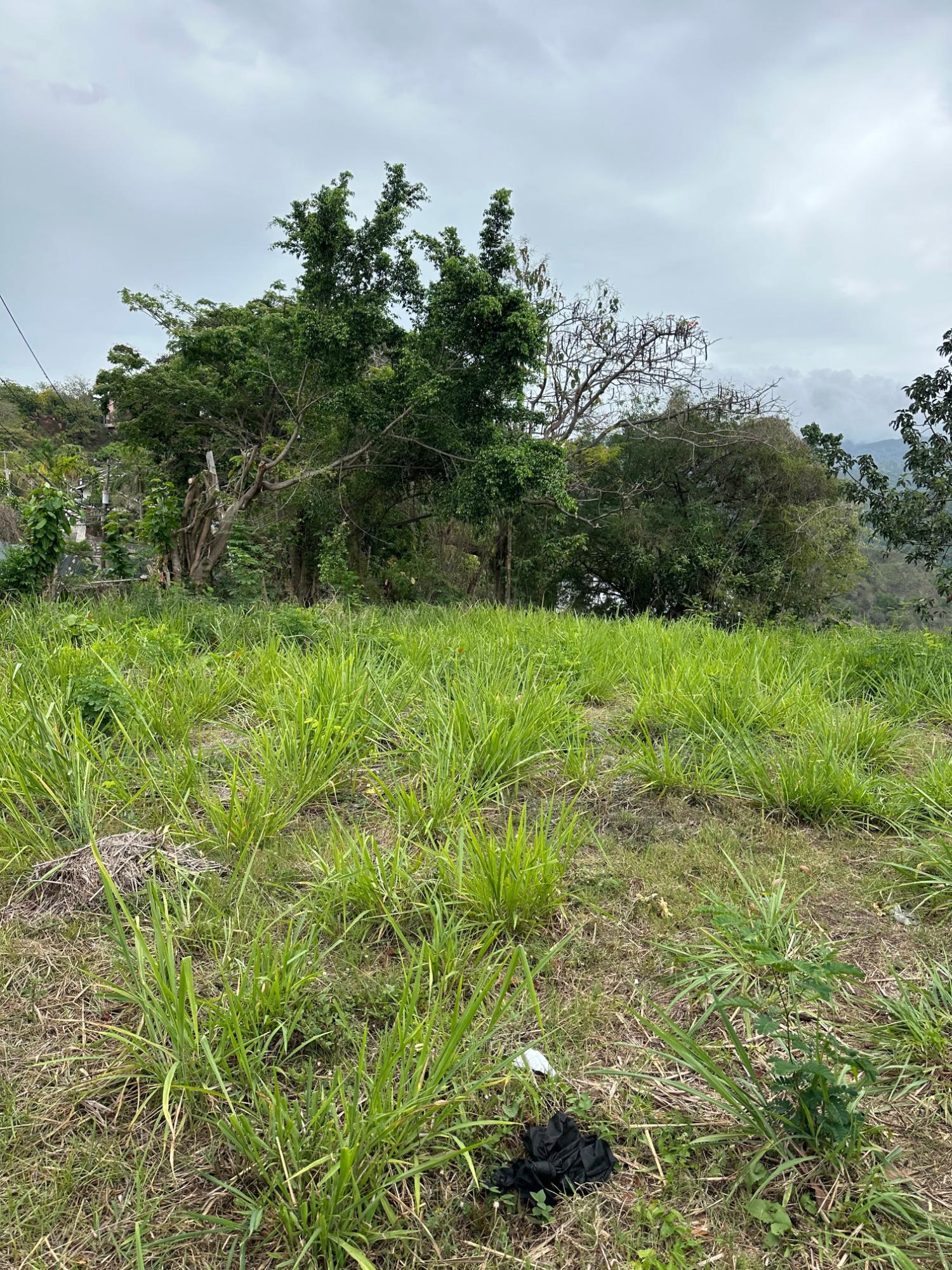 Eleventh image of 9 & 9a Skyline Drive Jacks Hill in Jacks Hill, St. Andrew, Jamaica - property is For Sale