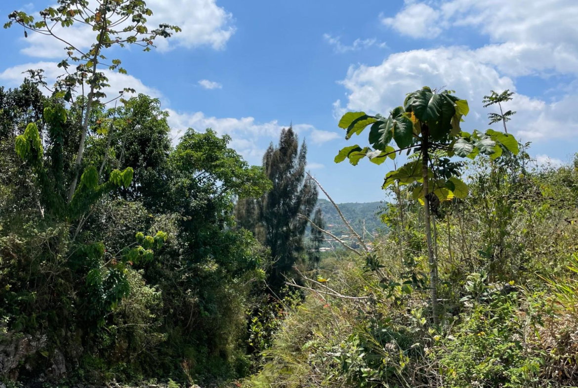 Second image of Lot 106 Hibiscus Gardends, Mandev in Hibiscus Gardens, Manchester, Jamaica - property is For Sale