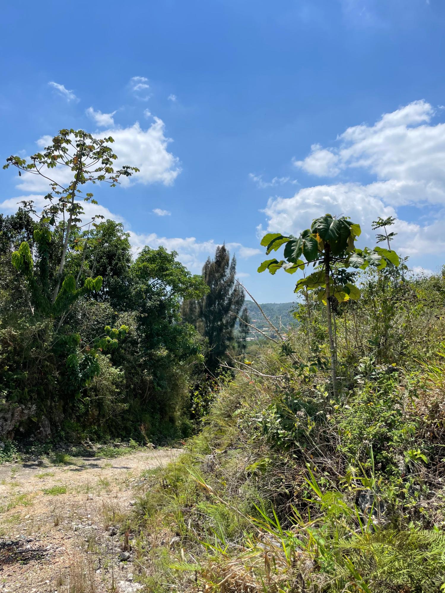 Second image of Lot 106 Hibiscus Gardends, Mandev in Hibiscus Gardens, Manchester, Jamaica - property is For Sale