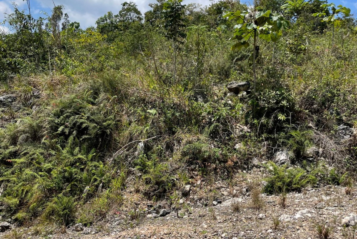 First image of Lot 106 Hibiscus Gardends, Mandev in Hibiscus Gardens, Manchester, Jamaica - property is For Sale