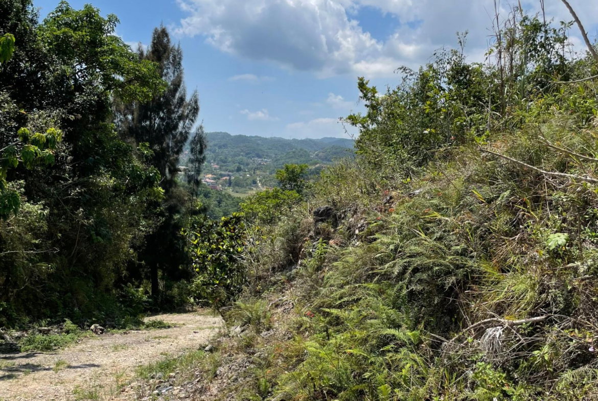 Sixth image of Lot 106 Hibiscus Gardends, Mandev in Hibiscus Gardens, Manchester, Jamaica - property is For Sale
