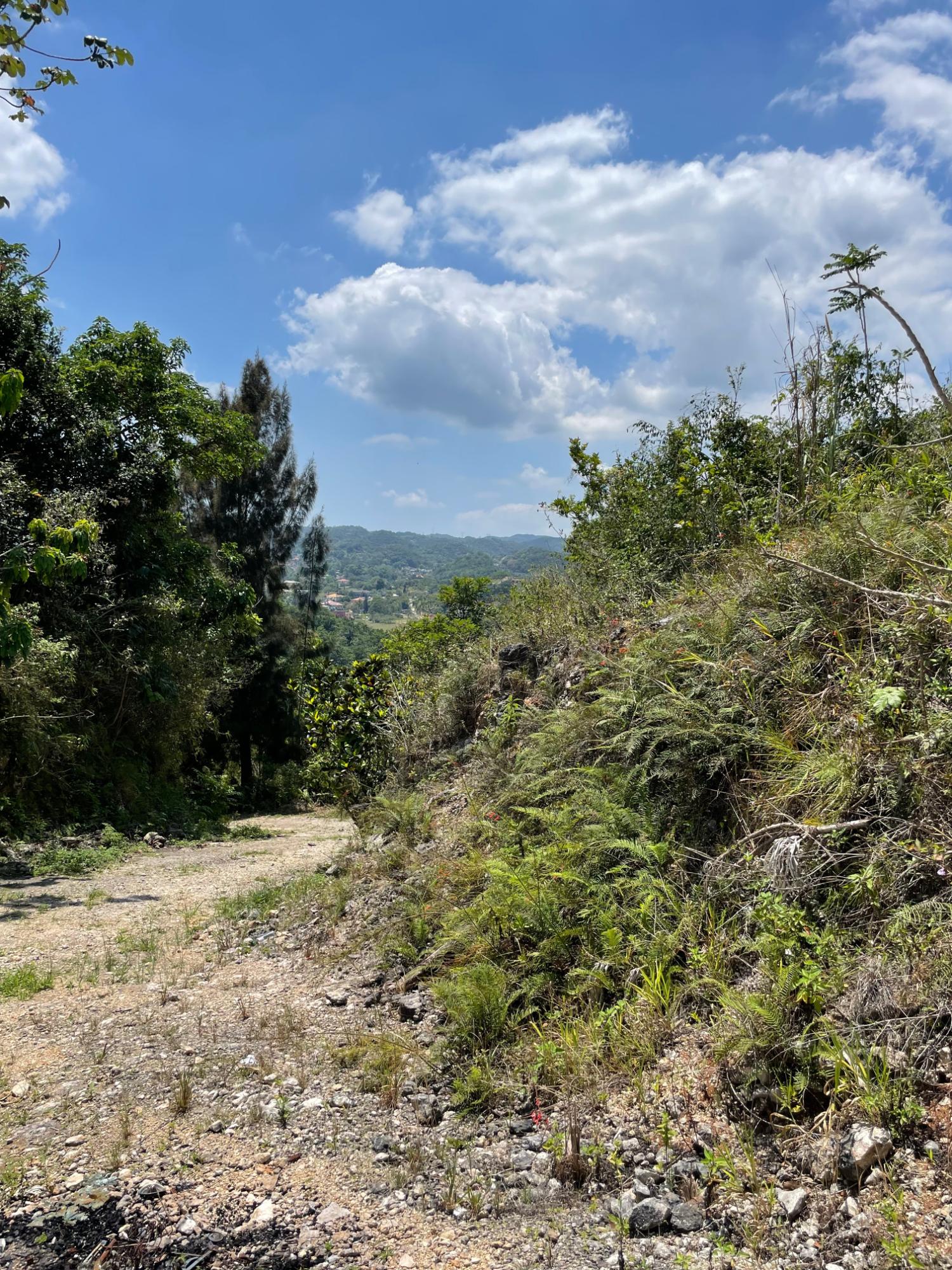 Sixth image of Lot 106 Hibiscus Gardends, Mandev in Hibiscus Gardens, Manchester, Jamaica - property is For Sale