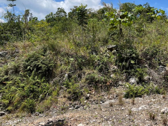 First image of Lot 106 Hibiscus Gardends, Mandev in Hibiscus Gardens, Manchester, Jamaica - property is For Sale