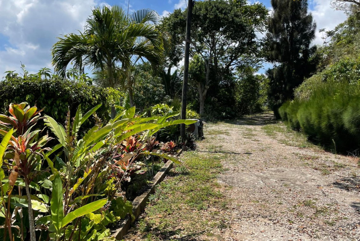 Seventh image of Lot 106 Hibiscus Gardends, Mandev in Hibiscus Gardens, Manchester, Jamaica - property is For Sale