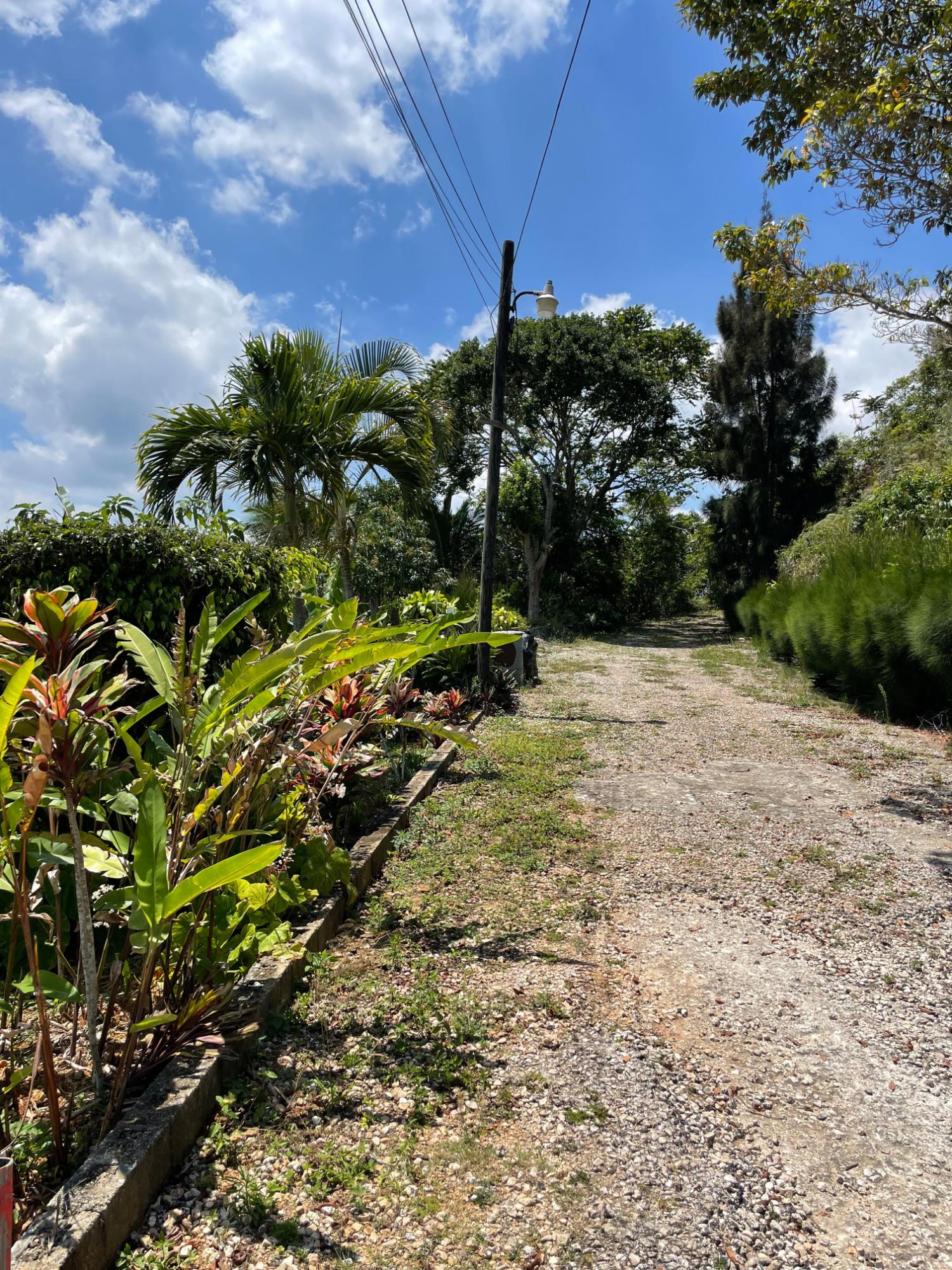 Seventh image of Lot 106 Hibiscus Gardends, Mandev in Hibiscus Gardens, Manchester, Jamaica - property is For Sale