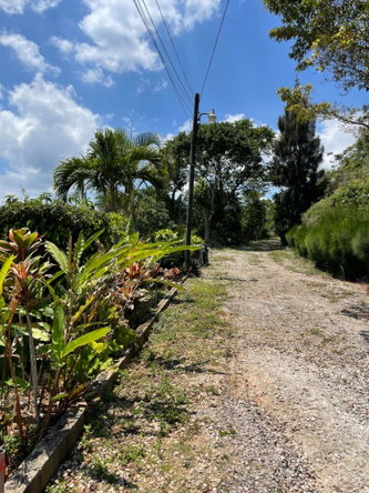 Seventh image of Lot 106 Hibiscus Gardends, Mandev in Hibiscus Gardens, Manchester, Jamaica - property is For Sale