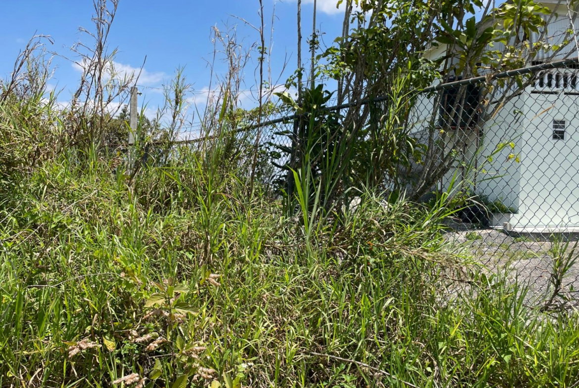 Eighth image of Lot 106 Hibiscus Gardends, Mandev in Hibiscus Gardens, Manchester, Jamaica - property is For Sale