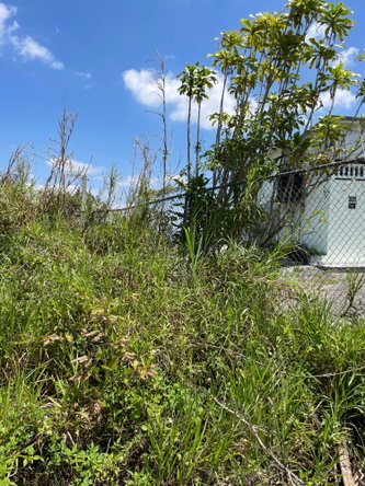 Eighth image of Lot 106 Hibiscus Gardends, Mandev in Hibiscus Gardens, Manchester, Jamaica - property is For Sale
