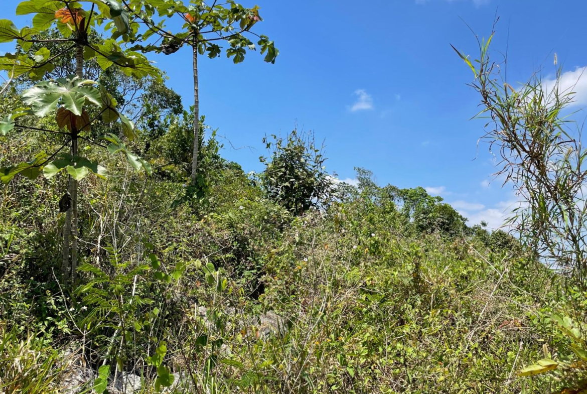 Ninth image of Lot 106 Hibiscus Gardends, Mandev in Hibiscus Gardens, Manchester, Jamaica - property is For Sale
