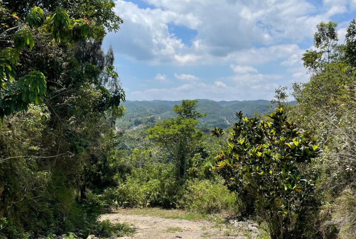 Tenth image of Lot 106 Hibiscus Gardends, Mandev in Hibiscus Gardens, Manchester, Jamaica - property is For Sale