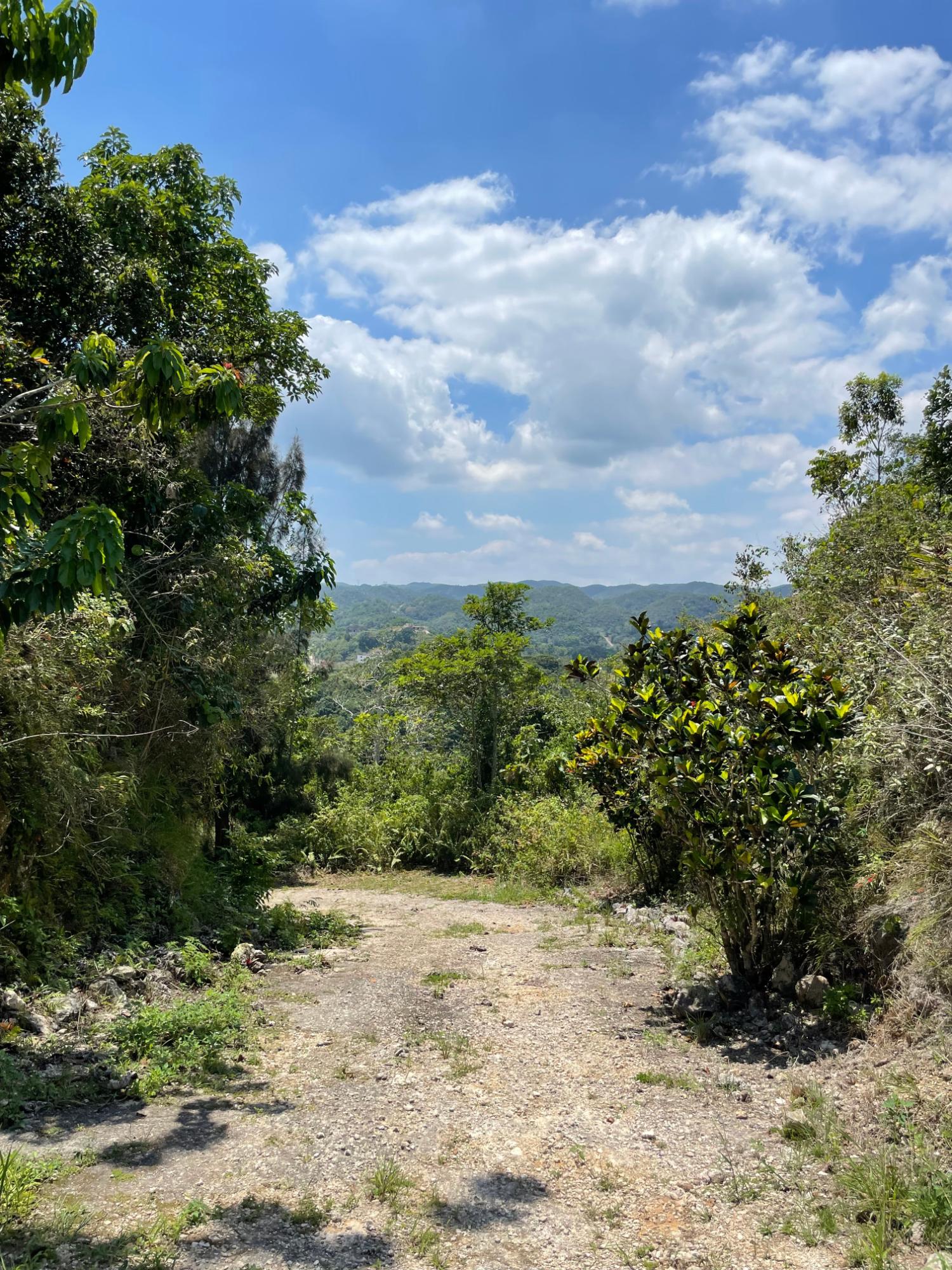 Tenth image of Lot 106 Hibiscus Gardends, Mandev in Hibiscus Gardens, Manchester, Jamaica - property is For Sale