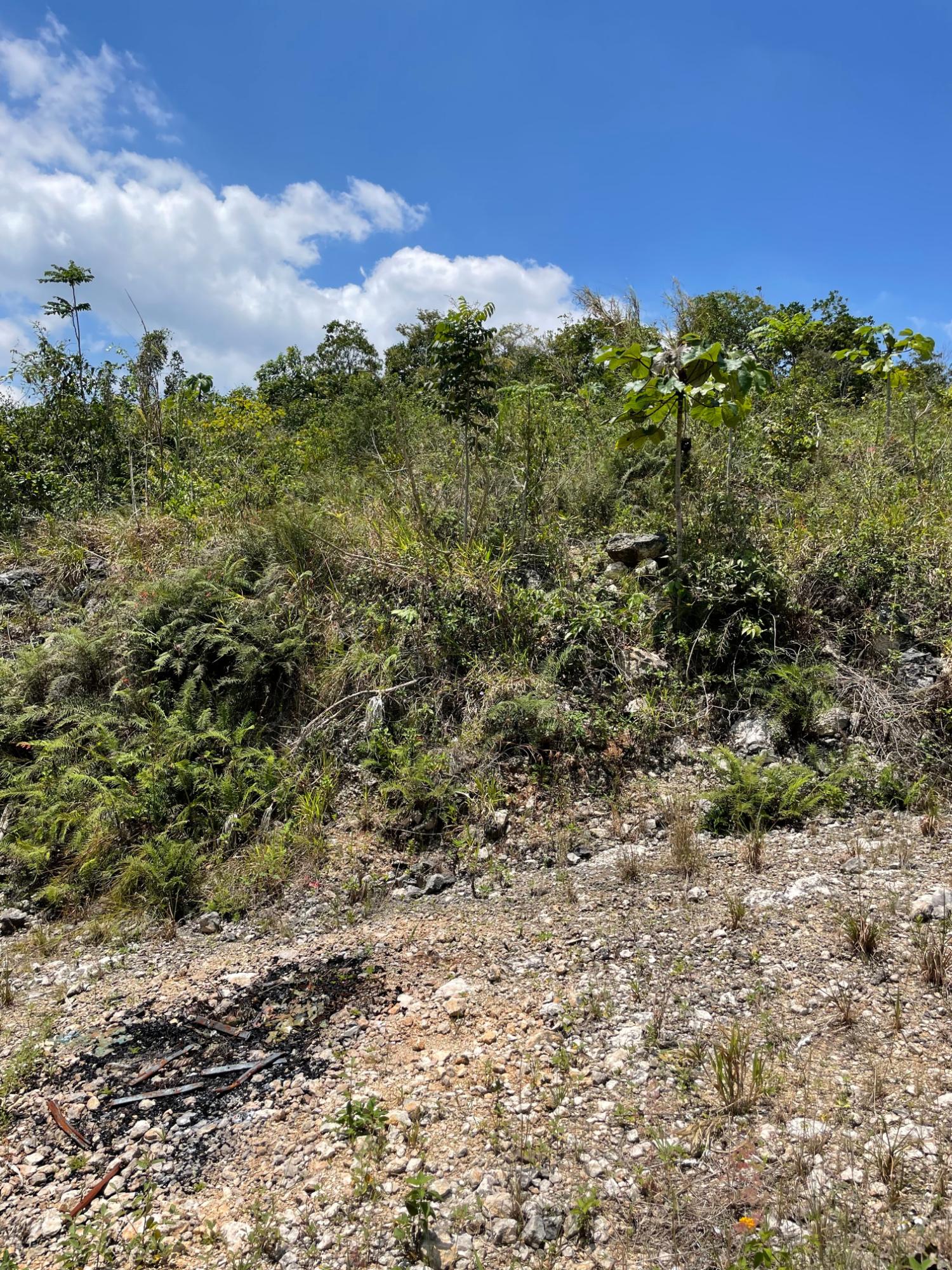 First image of Lot 106 Hibiscus Gardends, Mandev in Hibiscus Gardens, Manchester, Jamaica - property is For Sale