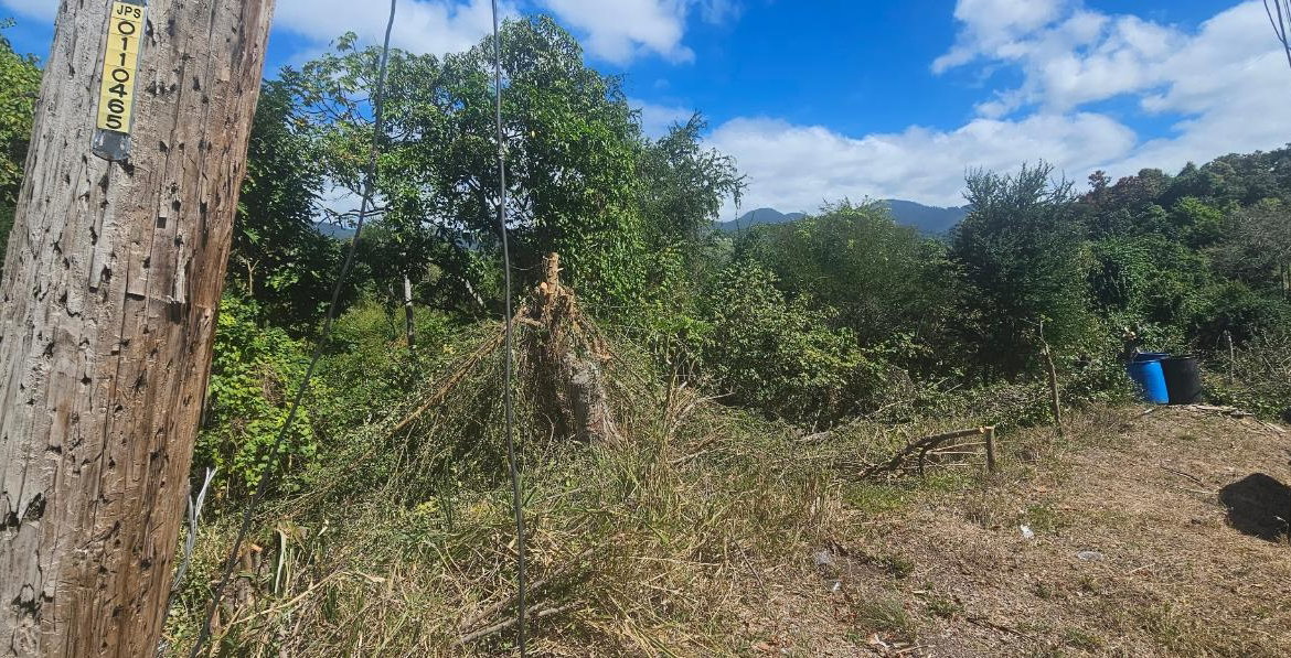 Second image of Skyline Drive in Jacks Hill, St. Andrew, Jamaica - property is For Sale