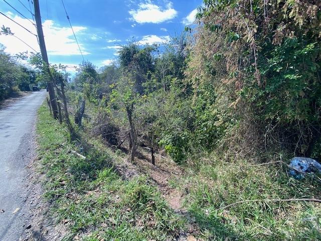 Twelfth image of Skyline Drive in Jacks Hill, St. Andrew, Jamaica - property is For Sale