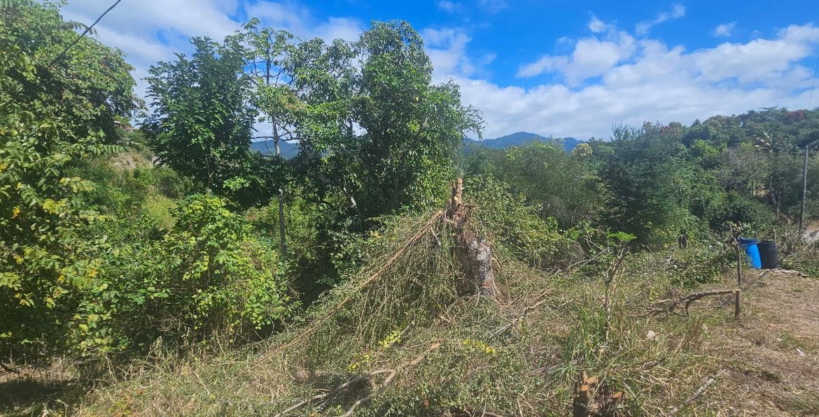 First image of Skyline Drive in Jacks Hill, St. Andrew, Jamaica - property is For Sale