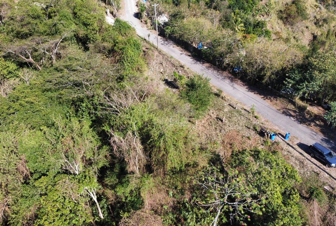 Fifteenth image of Skyline Drive in Jacks Hill, St. Andrew, Jamaica - property is For Sale