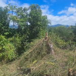 First image of Skyline Drive in Jacks Hill, St. Andrew, Jamaica - property is For Sale