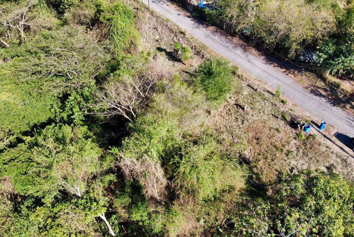 Seventeenth image of Skyline Drive in Jacks Hill, St. Andrew, Jamaica - property is For Sale