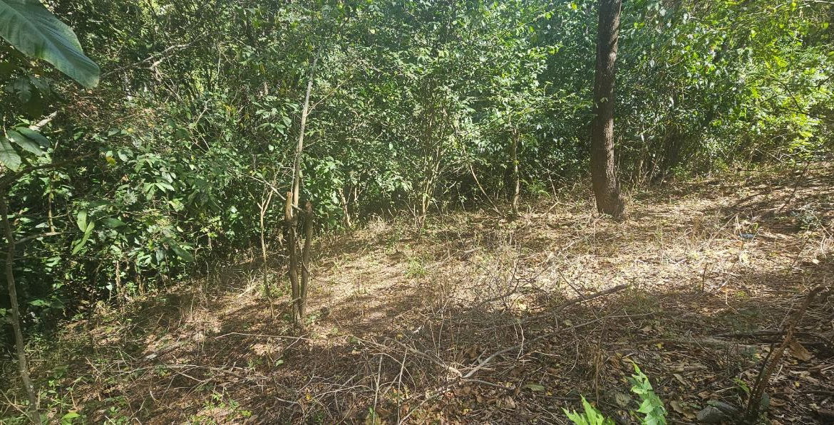 Fourth image of Skyline Drive in Jacks Hill, St. Andrew, Jamaica - property is For Sale