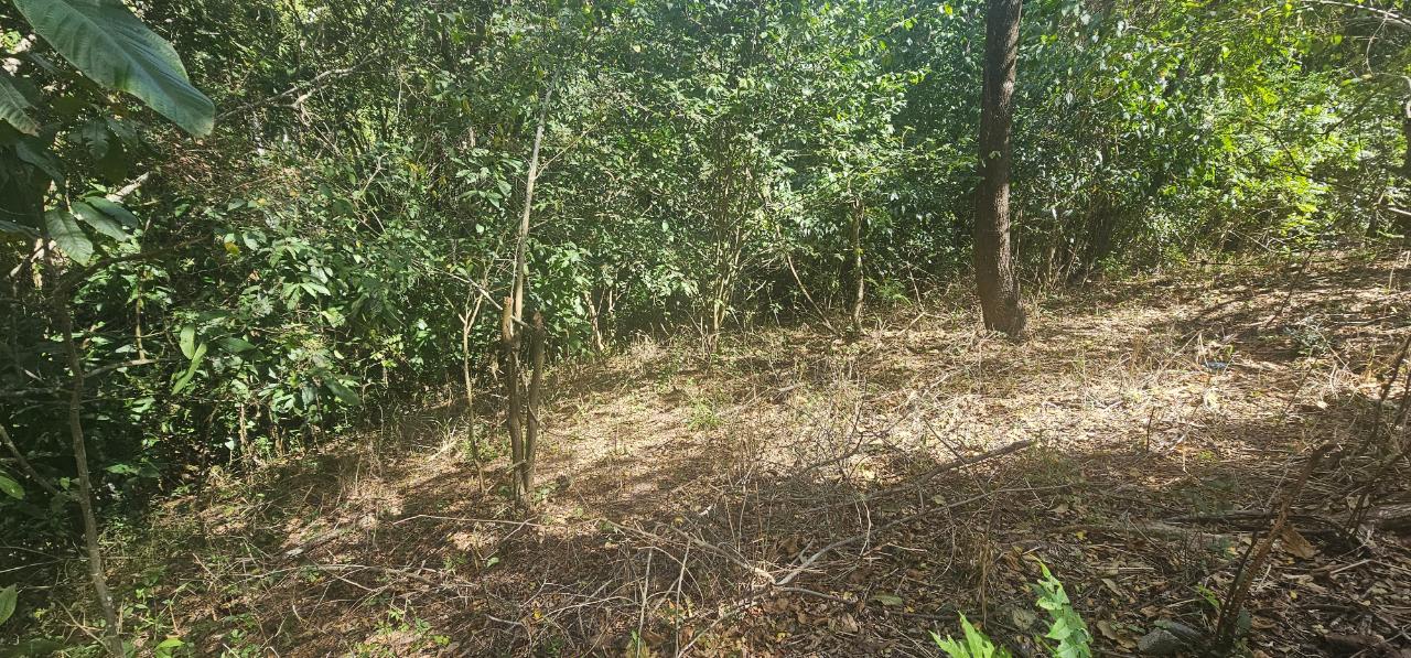 Fourth image of Skyline Drive in Jacks Hill, St. Andrew, Jamaica - property is For Sale