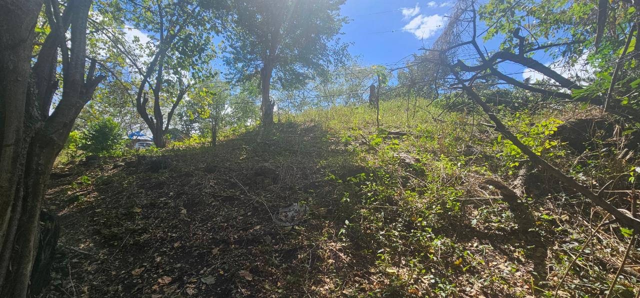 Fifth image of Skyline Drive in Jacks Hill, St. Andrew, Jamaica - property is For Sale