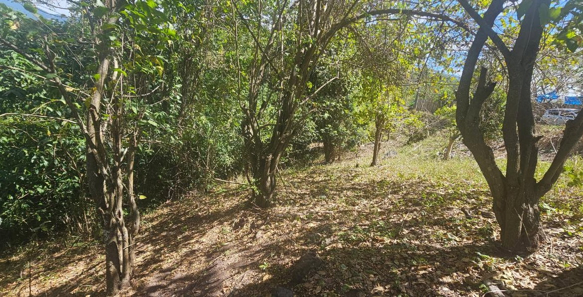 Sixth image of Skyline Drive in Jacks Hill, St. Andrew, Jamaica - property is For Sale