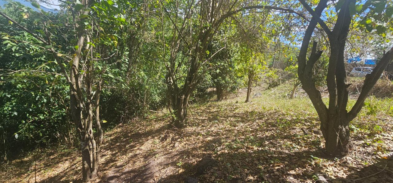 Sixth image of Skyline Drive in Jacks Hill, St. Andrew, Jamaica - property is For Sale