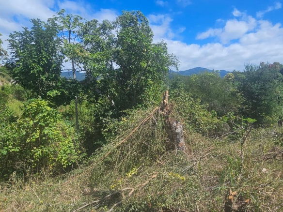 First image of Skyline Drive in Jacks Hill, St. Andrew, Jamaica - property is For Sale