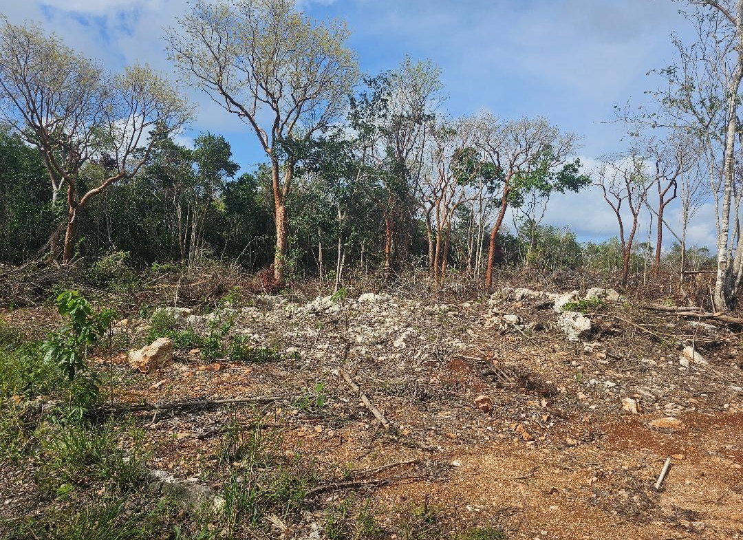 Eleventh image of 113 Highland Est. Spring Farm in Montego Bay, St. James, Jamaica - property is For Sale
