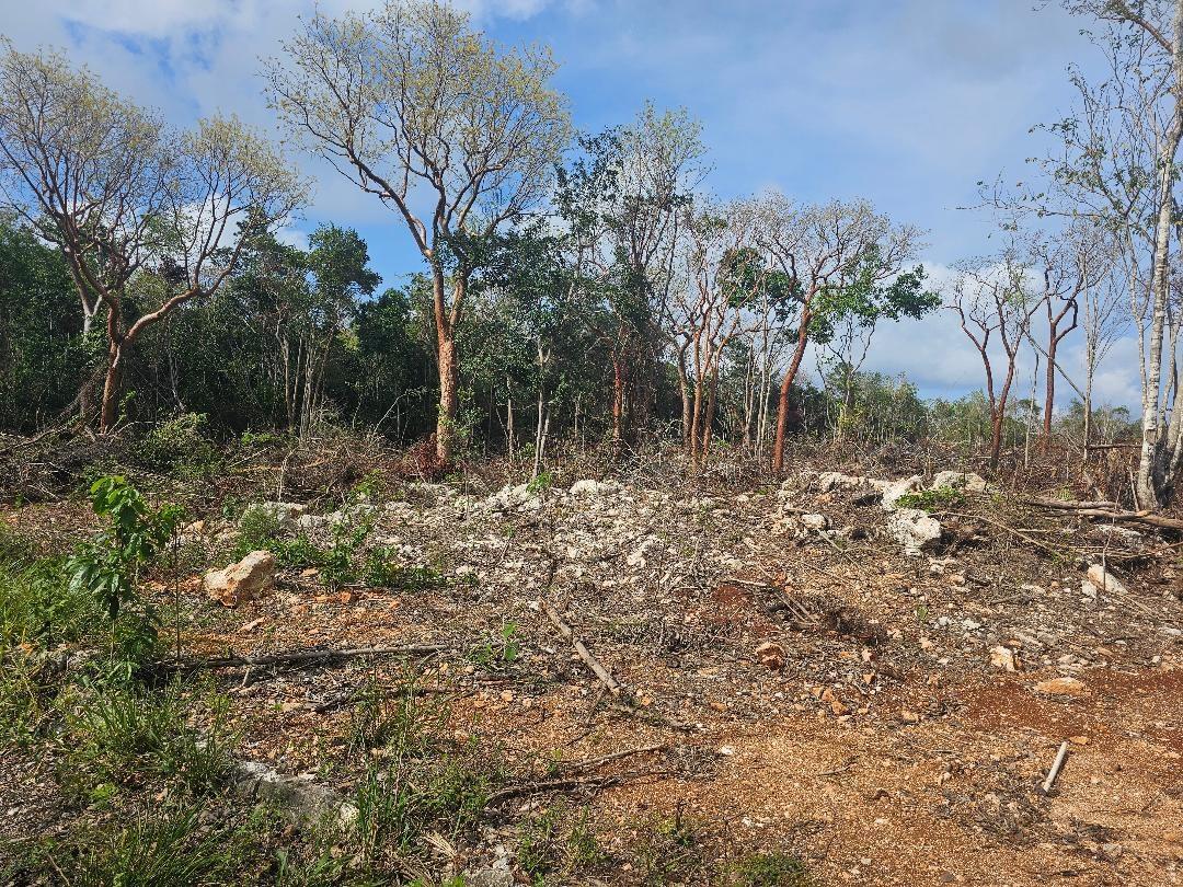Stunning-1.267-Acre-Residential-Lot-for-Sale-in-Highlands-Estate-Montego-Bay Eleventh image of 113 Highland Est. Spring Farm in Montego Bay, St. James, Jamaica - property is For Sale
