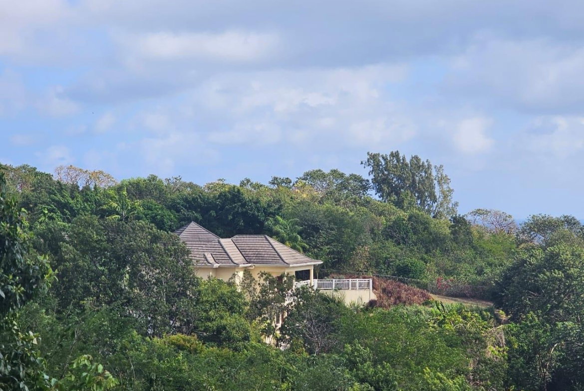 Fourth image of 113 Highland Est. Spring Farm in Montego Bay, St. James, Jamaica - property is For Sale
