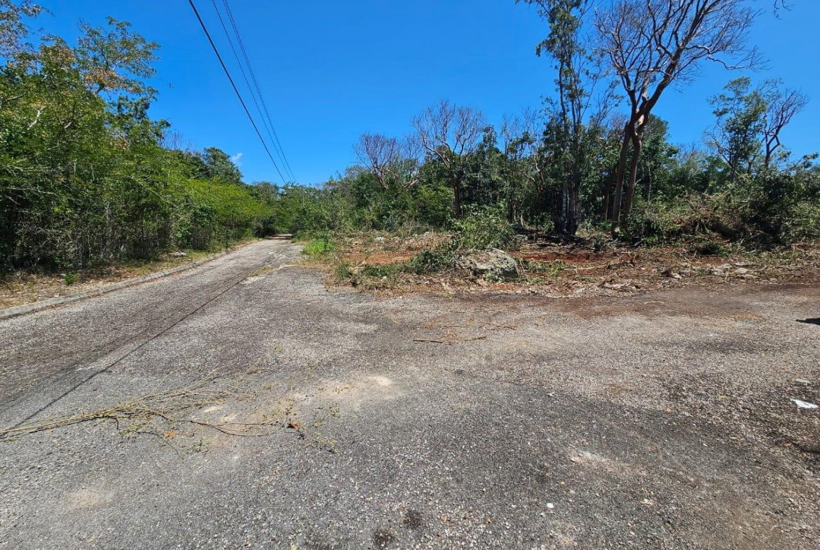 Fifth image of 113 Highland Est. Spring Farm in Montego Bay, St. James, Jamaica - property is For Sale